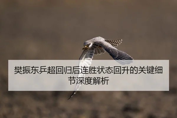 樊振东乒超回归后连胜状态回升的关键细节深度解析